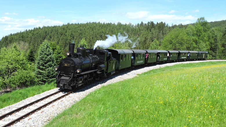 Waldviertelbahn, © NÖVOG/knipserl.at Eine historische Dampflokomotive zieht grüne Waggons der Waldviertelbahn durch eine grüne Landschaft mit Wiesen und Wäldern.