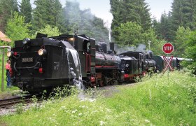 Dampflokomotive der Waldviertelbahn wird im Wald mit Wasser bef&uuml;llt.