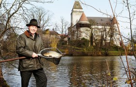 Karpfen im Teich, © Waldviertel Tourismus/Thomas Topf