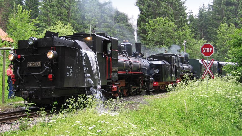 Dampflokomotive der Waldviertelbahn wird im Wald mit Wasser befüllt.